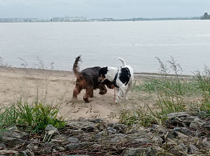 Chicago Photo Exhibition