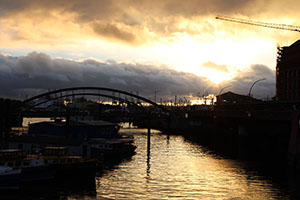 Amateur Photographer