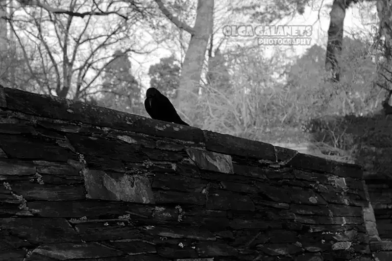 Street Photography, Malta, 2026