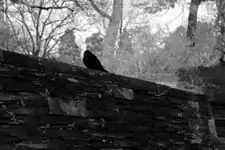 Street Photography, Malta, 2026