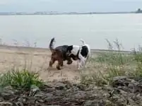 Chicago Photo Exhibition